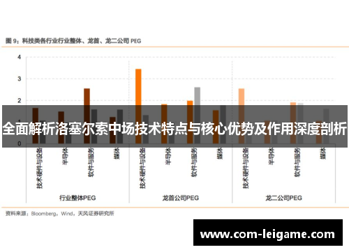 全面解析洛塞尔索中场技术特点与核心优势及作用深度剖析