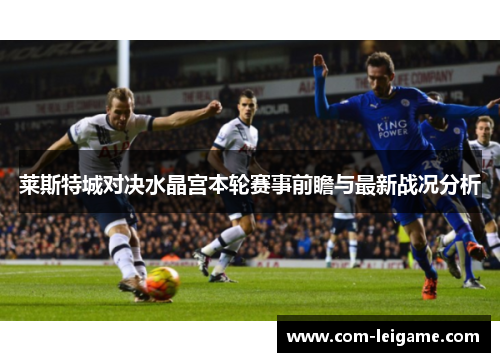 莱斯特城对决水晶宫本轮赛事前瞻与最新战况分析