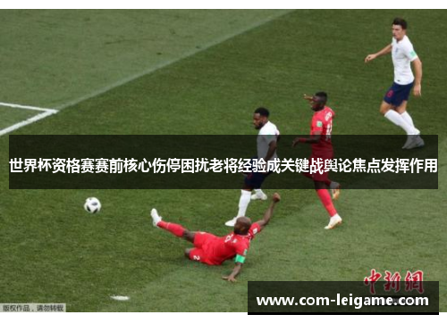 世界杯资格赛赛前核心伤停困扰老将经验成关键战舆论焦点发挥作用
