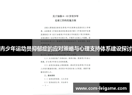 青少年运动员抑郁症的应对策略与心理支持体系建设探讨